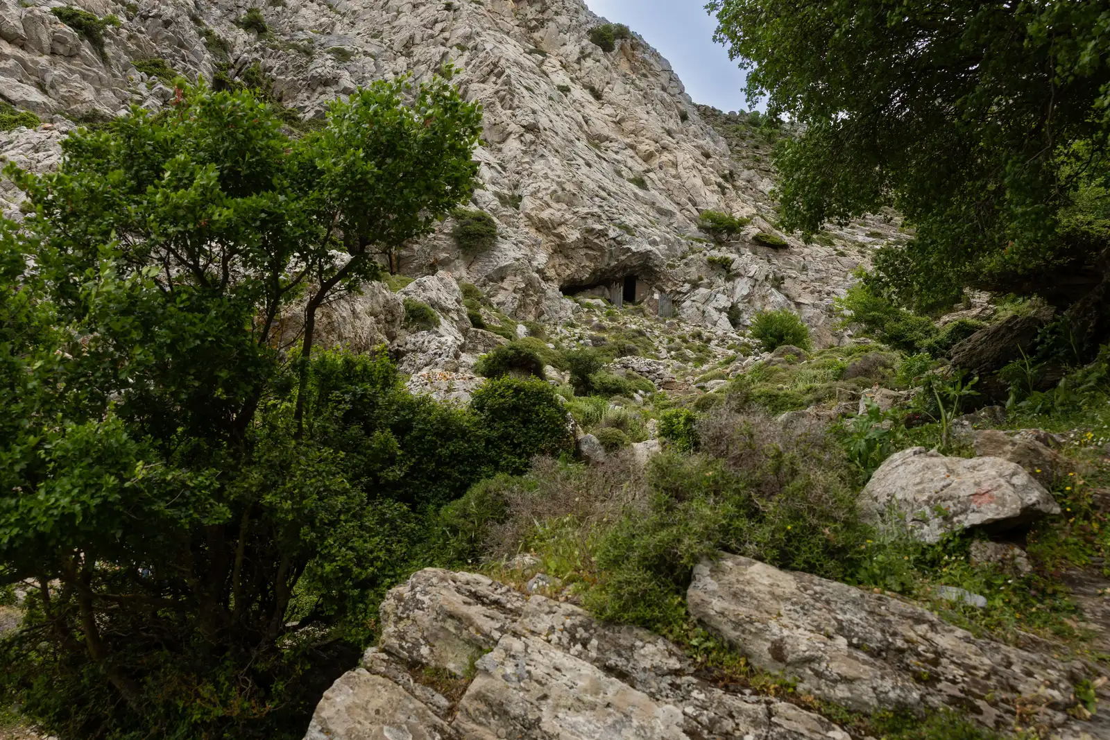 Cave of Zeus